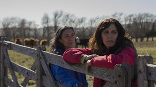 Una película que revisita la amistad desde un tono reflexivo y poético