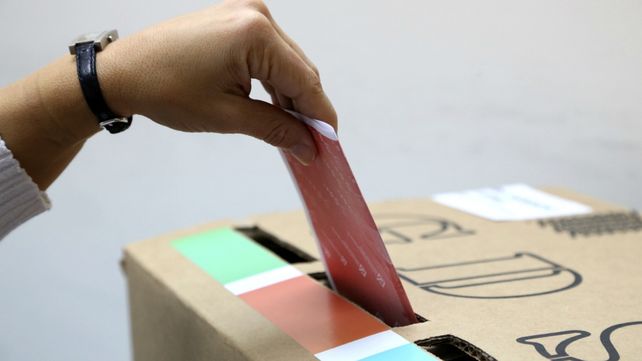 El Tribunal Electoral le pone condiciones a la consulta por la reforma de la Constitución