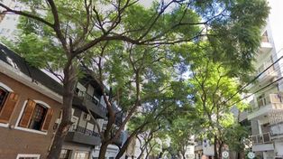 Simularon una mudanza, pero bajaron muebles con sogas desde un balcón de un 4to. piso del centro y robaron varias pertenencias.