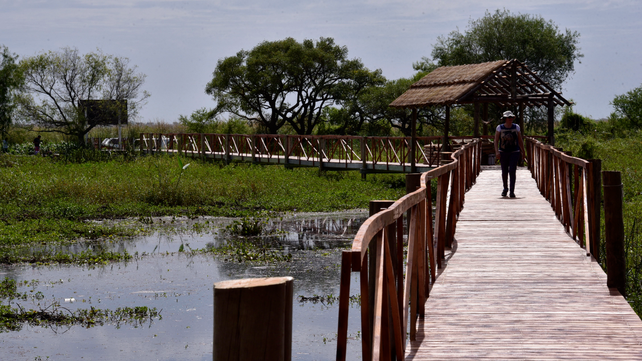 La reserva municipal de Los Tres Cerros en las islas podría sumar 800 hectáreas en el corto plazo.