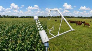 Emisiones de carbono en el agro: ¿Por qué a la ganadería pampeana le va mejor que a la agricultura?