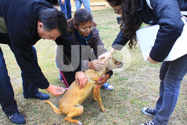 Tareas de asistencia a las personas evacuadas por la crecida del río Paraná.