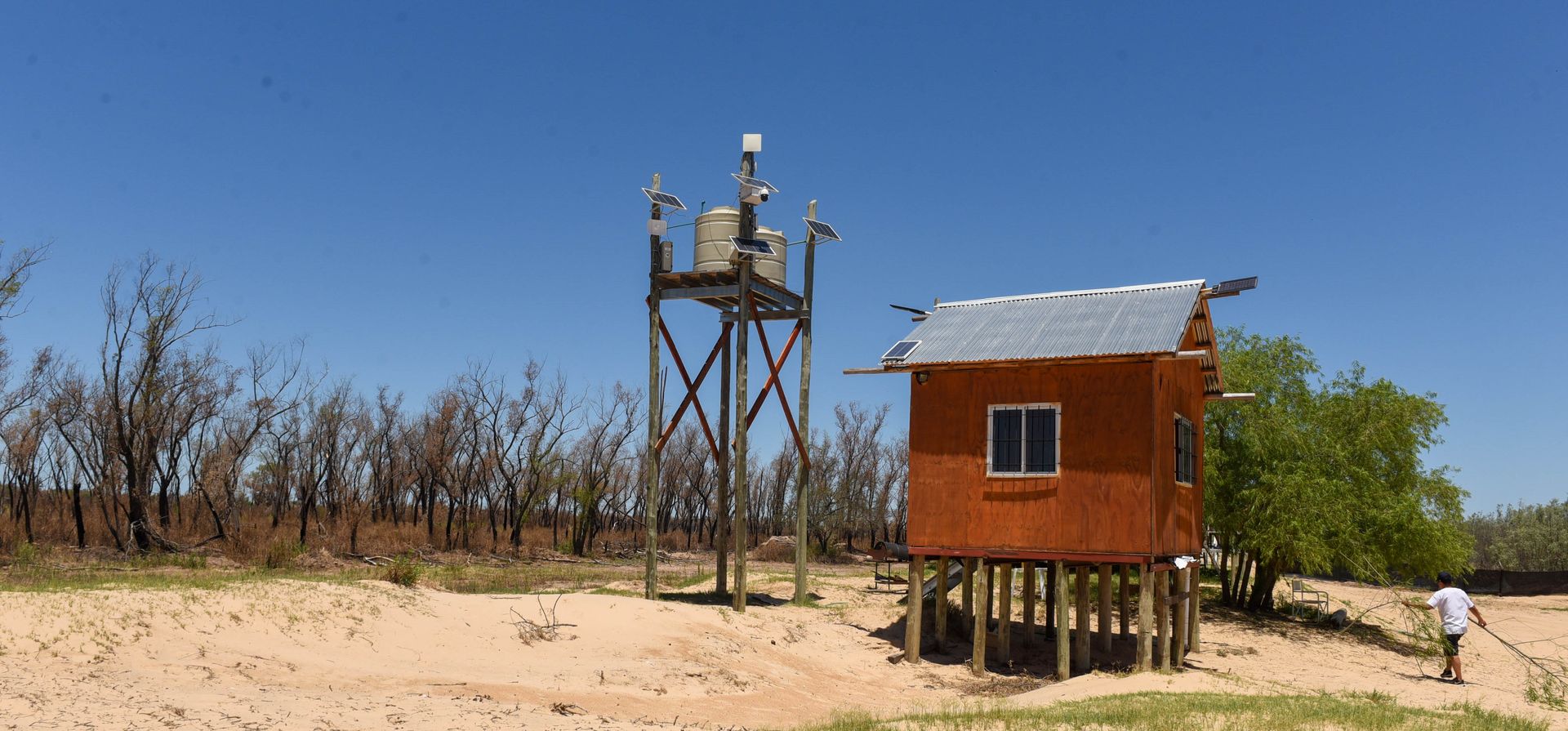 Recuperar la vegetación del Banquito San Andrés llevará más de un año. El incendio en la isla Sabino Corsi cambió por completo el panorama en la zona: árboles quemados, troncos partidos y un suelo negro dominan la escena.