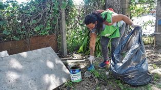 Trabajos de fumigación