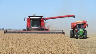 El agro es uno de los sectores ganadores del modelo pero cayó fuerte la cantidad de empresas del sector.