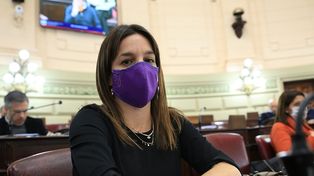 La diputada provincial Lucila De Ponti&nbsp;