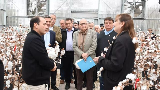 Arandu Inta BGRR IMIcott fue presentado en la planta Gensus