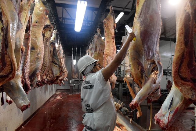 En julio la faena cayó 2% en términos interanuales