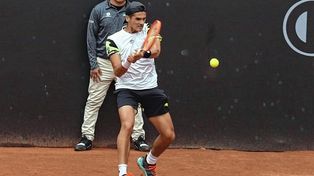 Delbonis