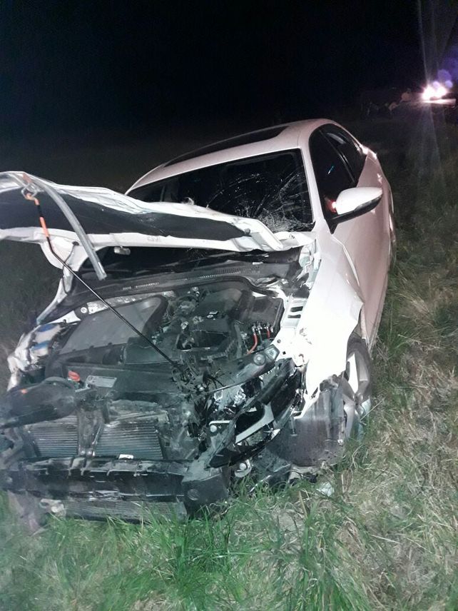 No pudo evitar chocar vacunos sueltos en la ruta 130