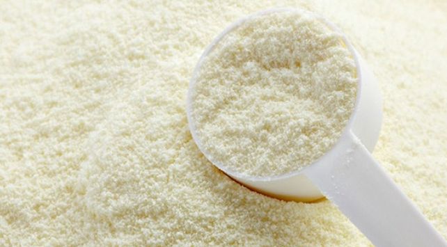 leche en polvo