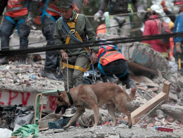 Se eleva a 318 la cifra de muertos por terremoto en México
