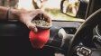 ¿Está prohibido tomar mate mientras se maneja?: qué dice la ley y qué pasa en Santa Fe