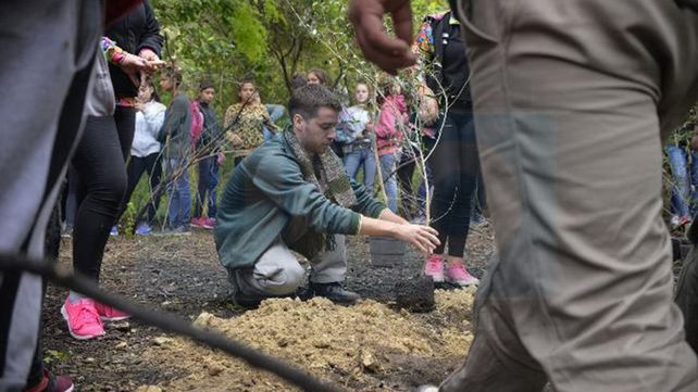 Alumnos reforestaron un monte nativo arrasado por un incendio