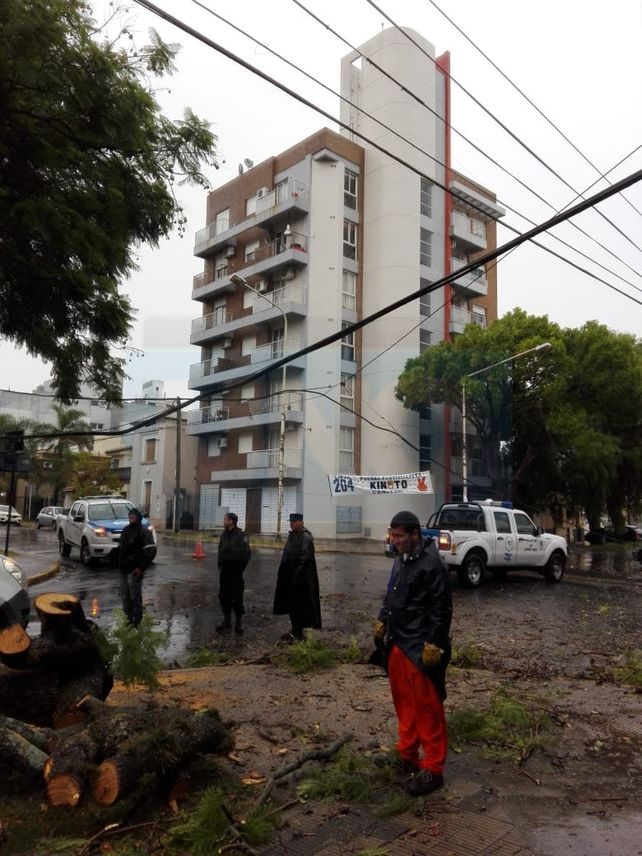 Por el temporal hubo árboles caídos, cables cortados y cinco familias asistidas
