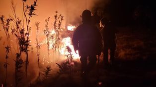 Unas 600 hectáreas se perdieron por el fuego en el norte provincial