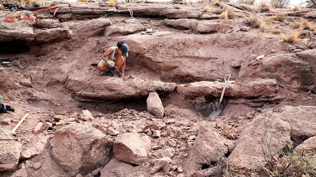 Este es Meraxes gigas el dinosaurio carnívoro más grande