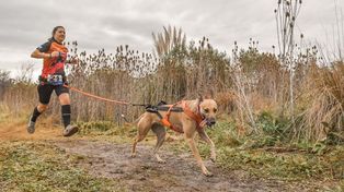 El canicross, el deporte que une el running con las mascotas, se practica en espacios abiertos y pastizados