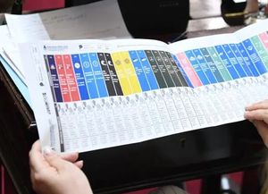 El gobierno nacional reglamentó la Boleta Única de Papel