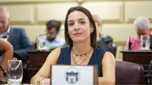 La diputada Lucila De Ponti