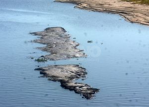 La bajante del río Paraná arrojó grandes pérdidas económicas