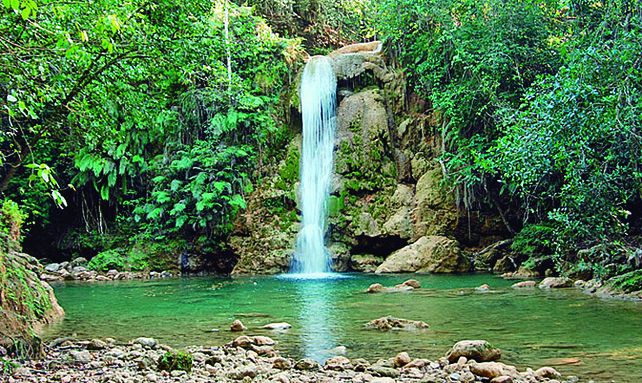 El Limón es una región ubicada a unos 28 km al norte del municipio Samaná en la República Dominicana.