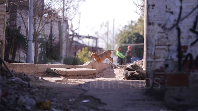 Vecinos de Antártida Argentina