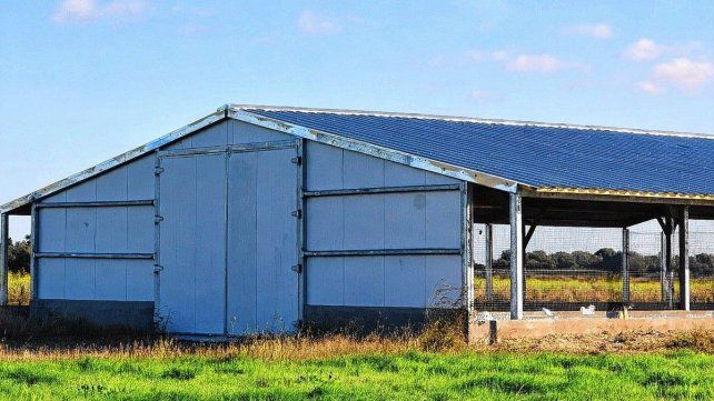 Naves Avicolas con tecnología. Pensadas para optimizar la producción y proteger la inversión de los clientes.