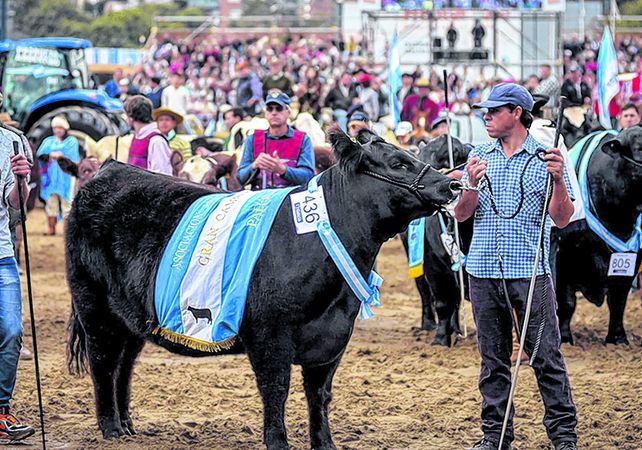La entrega de premios a los campeones de distintas razas es una de las principales atracciones.