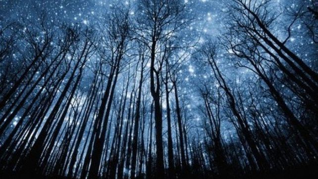 Se podrá ver una lluvia de estrellas sin precedentes