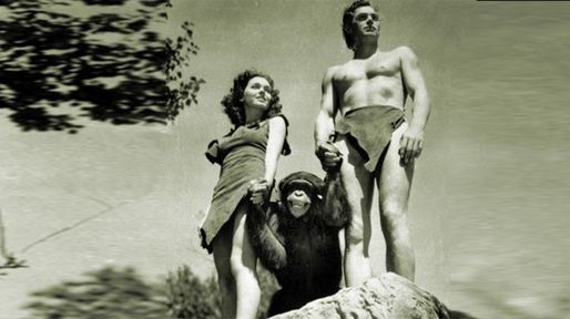 Muri&oacute; la mona Chita, el m&iacute;tico chimpanc&eacute; que acompa&ntilde;aba a Tarz&aacute;n