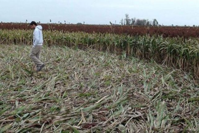 Una huella mística sorprendió a un chacarero cordobés en Las Perdices