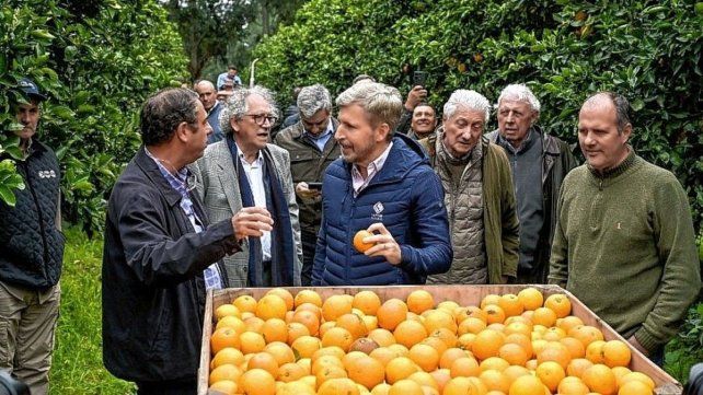 Frigerio destacó el potencial citrícola de Entre Ríos y apuntó a abrir el mercado de Estados Unidos.