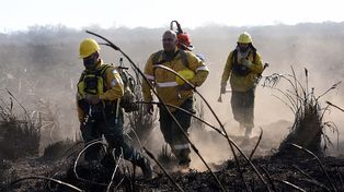 Tarea incansable. Los brigadistas trabajan a destajo para sofocar las llamas en el medio del ecocidio.
