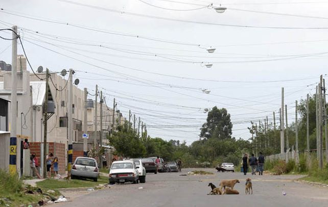 El censo comenzó por calle Polledo