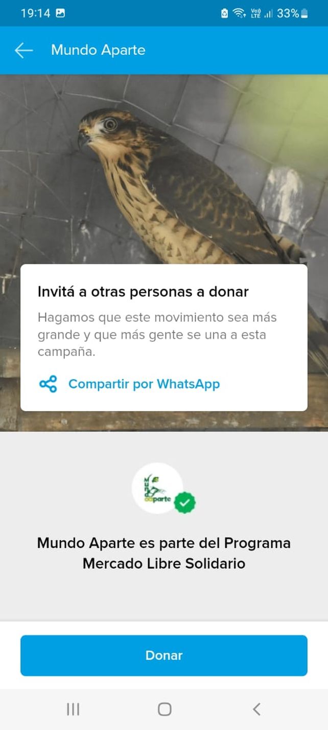 Incendios en las islas: lanzan una campaña para evitar que atropellen a los animales que huyen del fuego