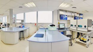 Hacen 80 test diarios de coronavirus en el único laboratorio privado habilitado de la ciudad