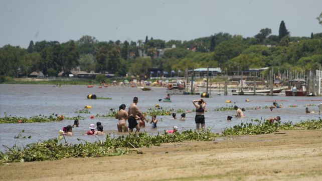 El año arrancó en Rosario con playas tapizadas de camalotes y el calor al límite