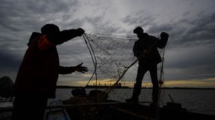 Crónicas de la bajante: el drama de un río sin peces