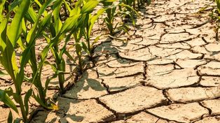 Ambiente y Agricultura: es la hora de compatibilizar y exponenciar
