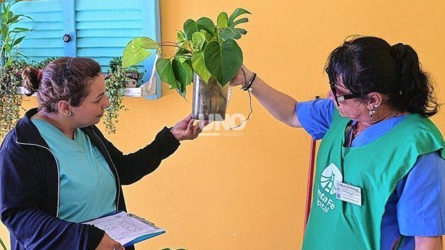 Dengue. Se confirmó la presencia del vector en 32 barrios de la ciudad de Santa Fe