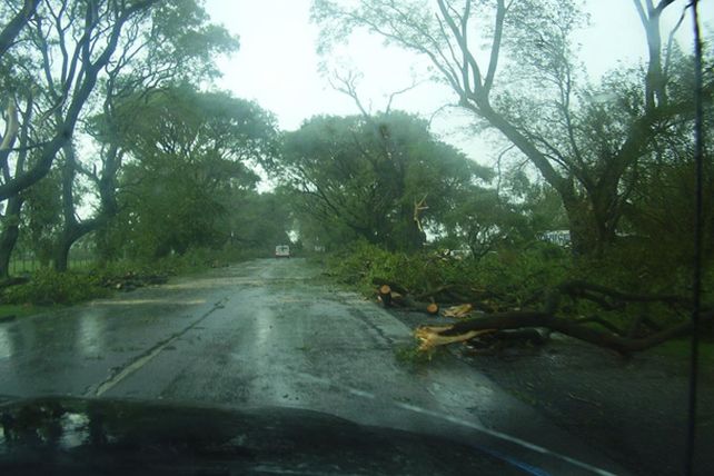 Humboldt: una cola de tornado cortó cables, voló techos y derribó árboles