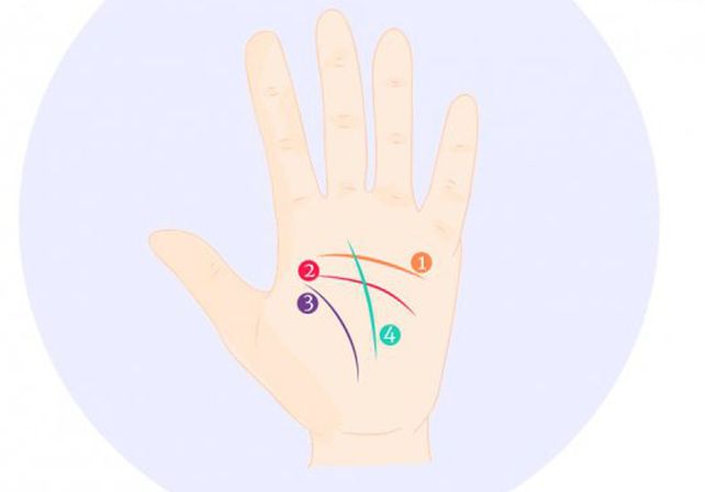 Descubrí qué dice tu línea del corazón acerca del amor