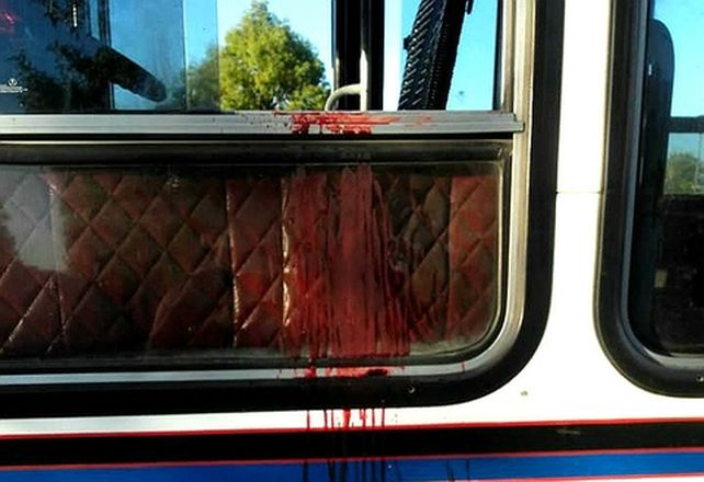 pavoroso. Un pasajero asesinó a balazos a un chofer de la línea 620.