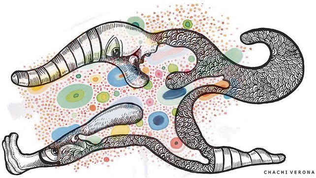 La ESI no participa de la cuarentena