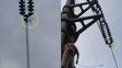 Enersa descubrió alambres de púas en la red. Enersa descubrió alambres de púas en la red.