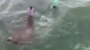Un video registró el momento en el que un tiburón ataca a dos pescadores