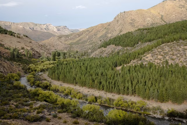 El campo en conflicto, ubicado en Río Negro, a 45 kilómetros de la frontera con Chile. 