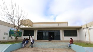 Lamento. No robaron, pero rompieron vidrios, dijo la directora.&nbsp;