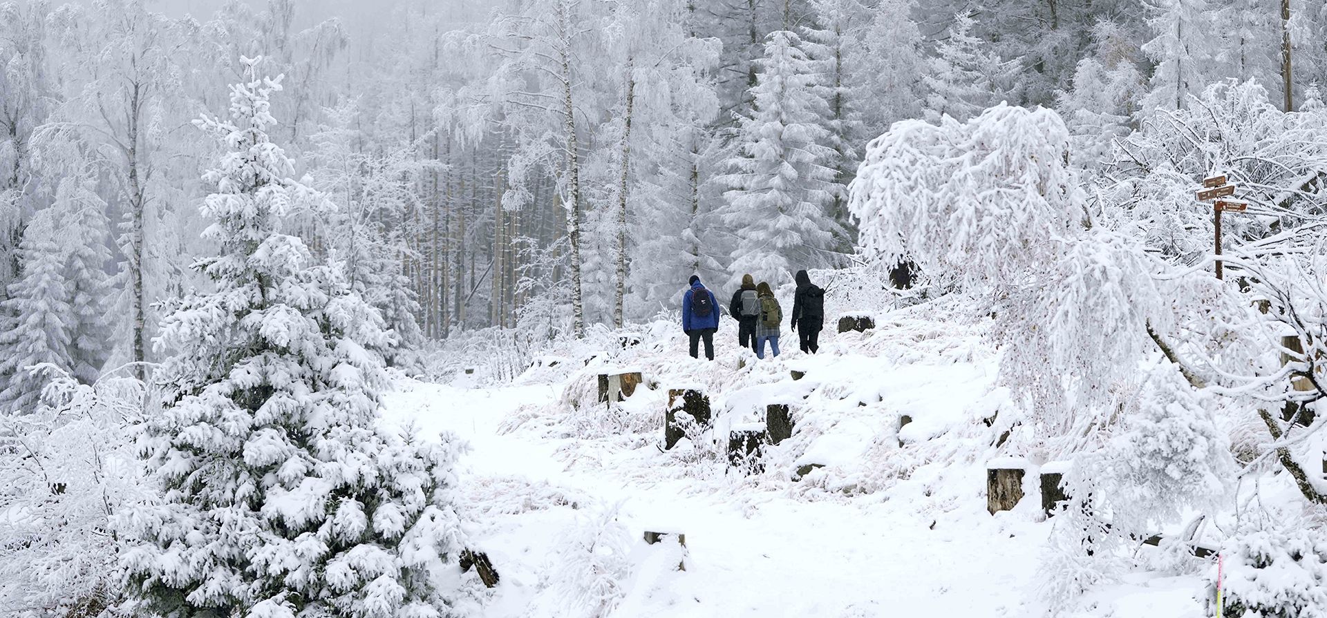 La gente se abre paso a través de un paisaje cubierto de nieve en el Brocken de 1.142 metros de altura en las montañas Harz cerca de Schierke, Alemania, el lunes 5 de diciembre de 2022. (Foto AP/Matthias Schrader)